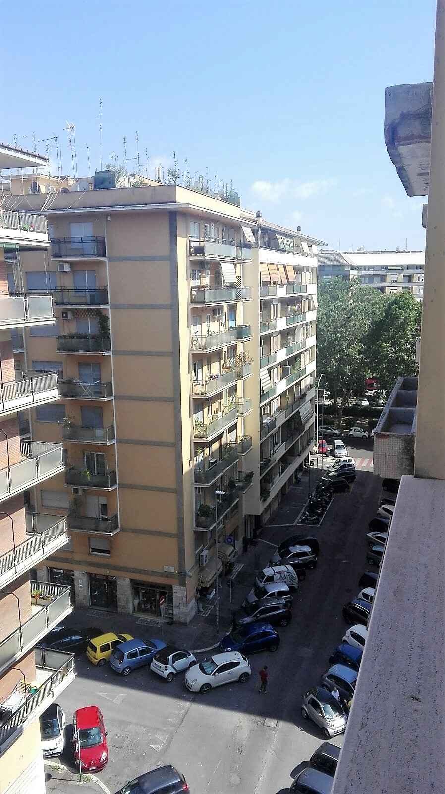 Vetrina