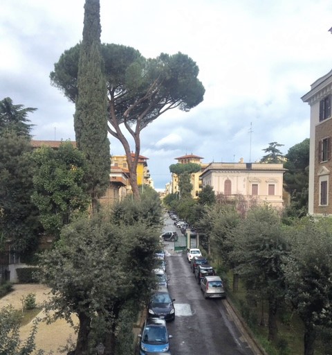 Vetrina