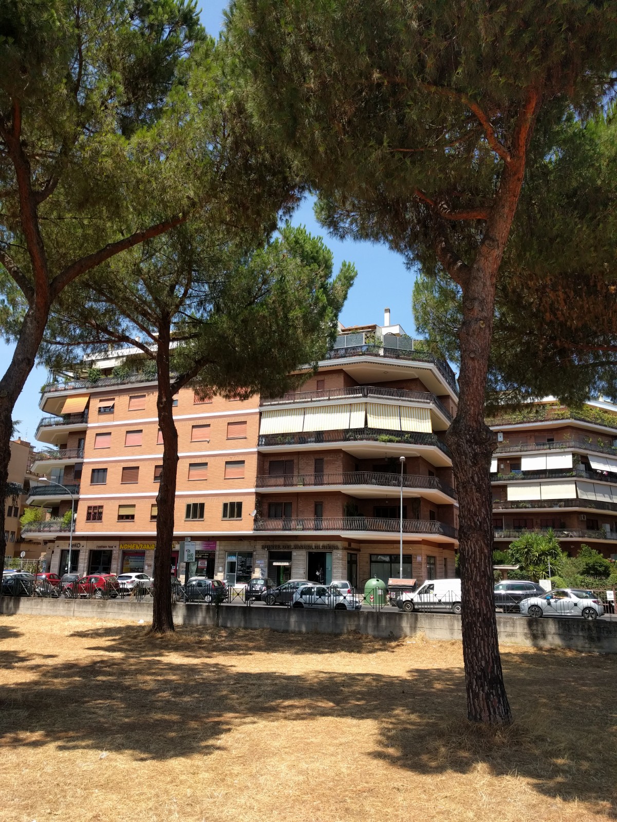 Vetrina